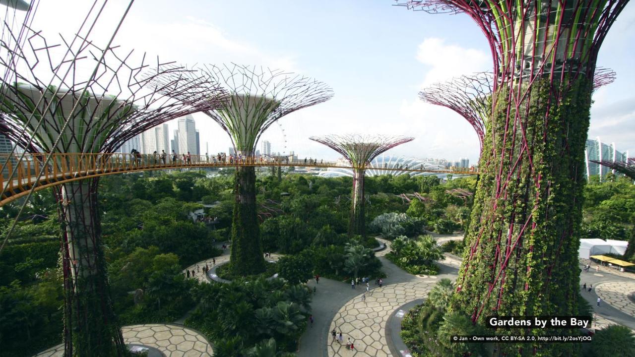 Zen Premium Dhoby Ghaut Singapore Exteriör bild